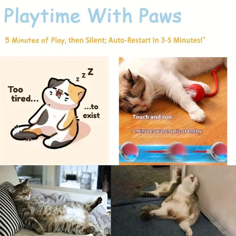 Balle Intelligente pour Animaux